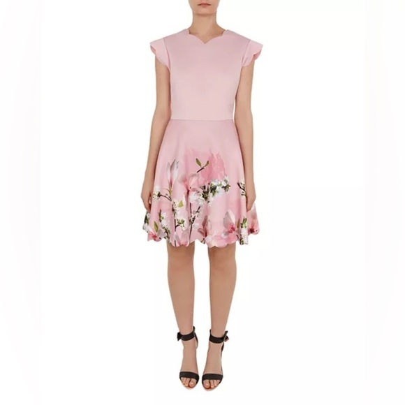 NWT Ted Baker Grettae Harmony Skater Dress US Sz 6 Wedding Guest Bridal Shower - Picture 1 of 12